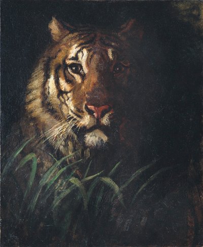 Tigrisfej alkotó: Abbott Handerson Thayer