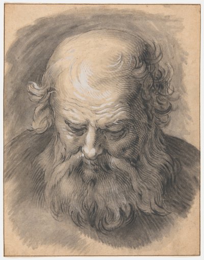 Tanulmány a szakállas férfi fejéről alkotó: Abraham Bloemaert