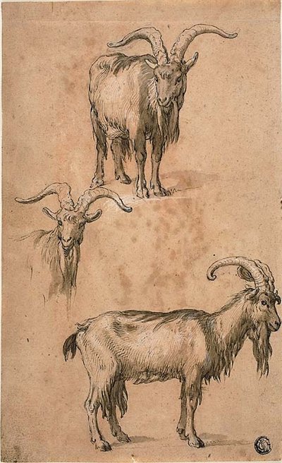 Három vázlat egy kecske (recto) drapériájáról álló női alakról (fordítva) alkotó: Abraham Bloemaert