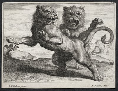 Különféle oroszlánok alkotó: Abraham Blooteling