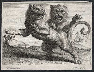 Különféle oroszlánok. alkotó: Abraham Blooteling