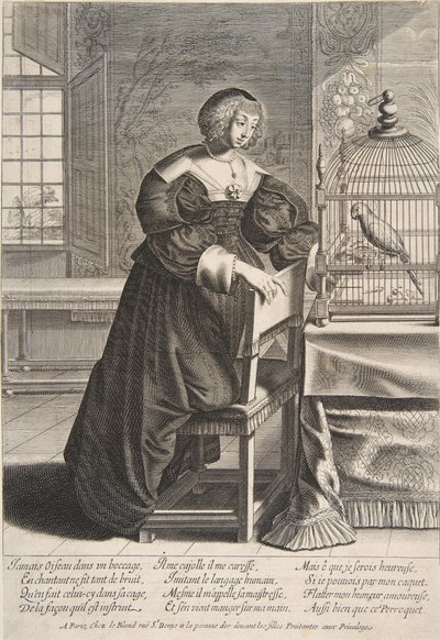 A papagáj, 1620-76. alkotó: Abraham Bosse