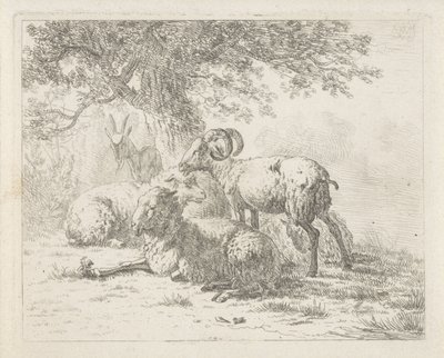 Birka és kecske alkotó: Abraham Hendrik Winter