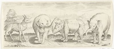 Gazella, elefánt és orrszarvú Állatok (sorozat címe) alkotó: Abraham de Bruyn (possibly)