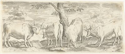 Tehenek, bika és ökör Állatok (sorozat címe) alkotó: Abraham de Bruyn (possibly)