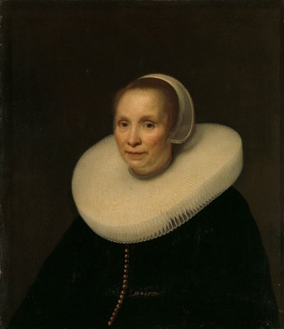 Egy nő portréja alkotó: Abraham van den Tempel