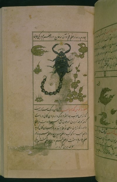 Az állatöv csillagképei: Skorpió, Skorpió, Talim dar marifat i taqvim, 1498 (903 Hijra) (tinta) alkotó: Abu Jafar al Tabari