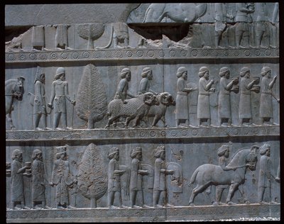 Kilátás a keleti lépcsők domborműveire alkotó: Achaemenid