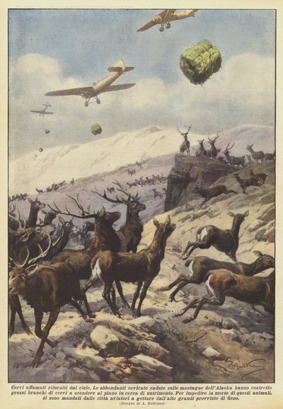 Éhes szarvas tankolt az égből alkotó: Achille Beltrame
