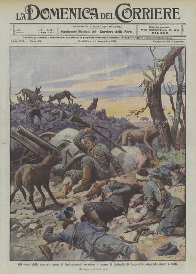 A háború borzalmai, éhes farkascsapatok támadják meg az Augustowi csatateret, megtámadják a halottakat és a sebesülteket. alkotó: Achille Beltrame