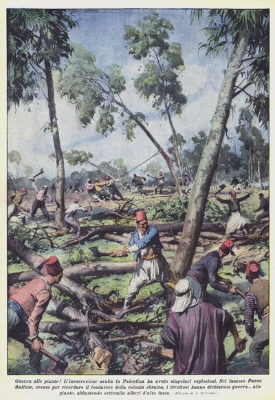 Háború a növények ellen! alkotó: Achille Beltrame