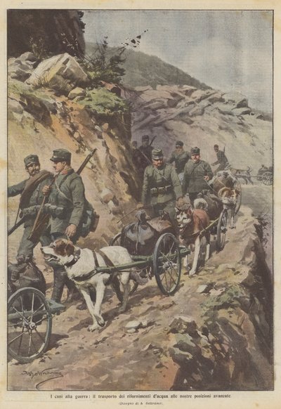 Kutyák a háborúba, vízkészletek szállítása az előretolt pozícióinkba alkotó: Achille Beltrame