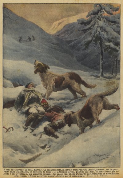 A kutyák, akik megmentenek alkotó: Achille Beltrame