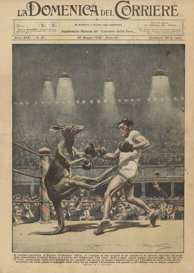 A boxkenguru alkotó: Achille Beltrame