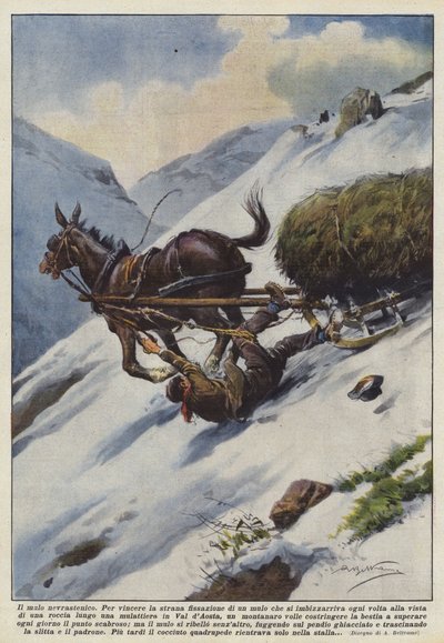 A neurasztén öszvér alkotó: Achille Beltrame