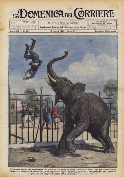 A pachyderm második bűne alkotó: Achille Beltrame