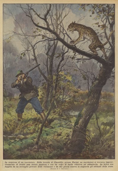 A vadász meglepetése alkotó: Achille Beltrame