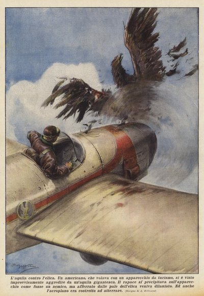 A sas kontra propeller alkotó: Achille Beltrame
