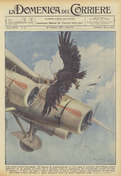 A keselyű a repülőgép ellen alkotó: Achille Beltrame