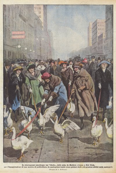 Amerikai extravaganciák, egy Geese Derby, a New York-i Madison Avenue-n, a beiktatásra? alkotó: Achille Beltrame