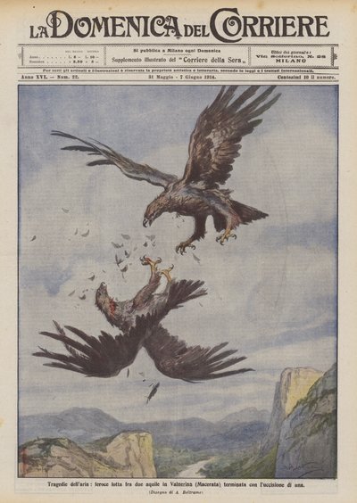 A légi tragédiák, a két sas ádáz harca Valnerinában (Macerata) egy vakító pillantással ért véget. alkotó: Achille Beltrame