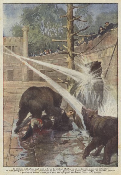 Dráma a berni Medvegödörben alkotó: Achille Beltrame