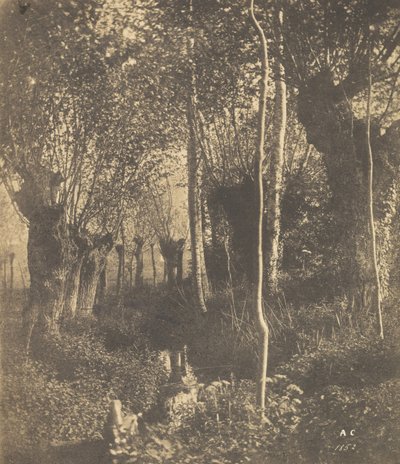 [Táj, Arras], 1852. alkotó: Adalbert Cuvelier