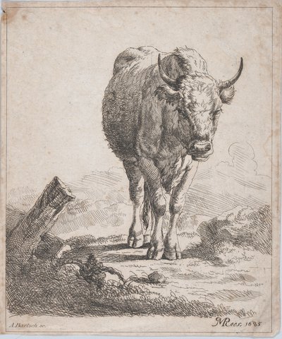 Egy tehén elölről nézve, 1805. alkotó: Adam von Bartsch