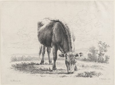 Tehénlegeltetés, 1805., 1805. alkotó: Adam von Bartsch
