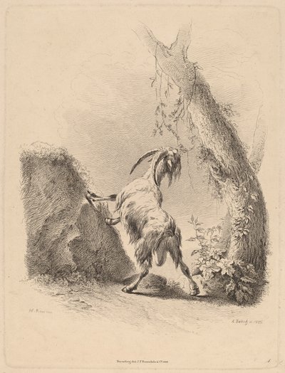 Kecske tájban, 1805. alkotó: Adam von Bartsch