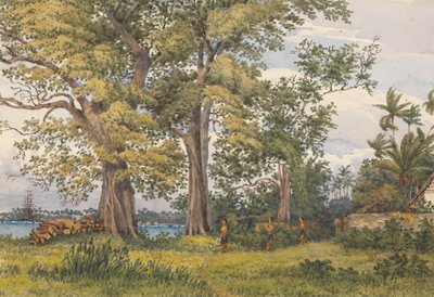 "Apia Bay, Upolu, Navigators Islands, [Samoa] from verandah of my sick quarters, Novr 6th 1849
