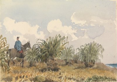 Tussac fű, Falkland-szigetek alkotó: Admiral Sir Edward Gennys Fanshawe