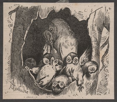 Bagoly kölykökkel, 1890 körül (gyorsnyomtatás) alkotó: Adolf Oberländer