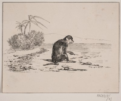 A majom macska alkotó: Johan Adolph Kittendorff