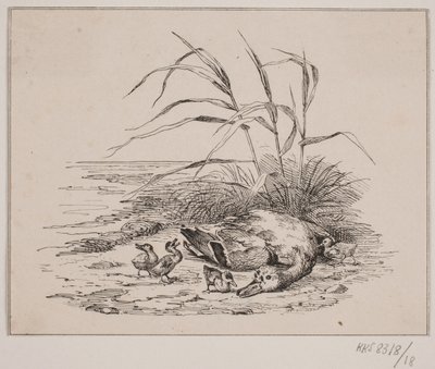 A megölt kacsa alkotó: Johan Adolph Kittendorff