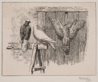 A galambok alkotó: Johan Adolph Kittendorff