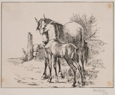 A ló és a csikó alkotó: Johan Adolph Kittendorff