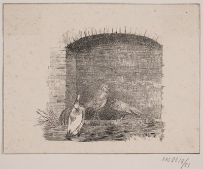 A csirkék és a kacsák alkotó: Johan Adolph Kittendorff