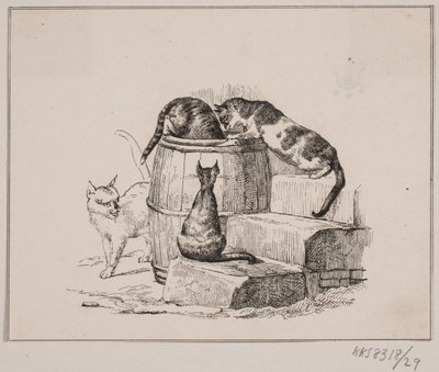 A macskák alkotó: Johan Adolph Kittendorff