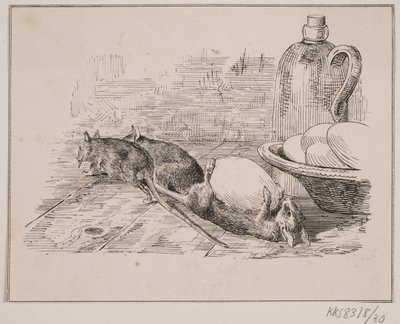 A patkányok alkotó: Johan Adolph Kittendorff