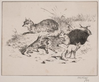 A róka alkotó: Johan Adolph Kittendorff