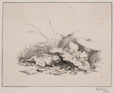 A varangy alkotó: Johan Adolph Kittendorff
