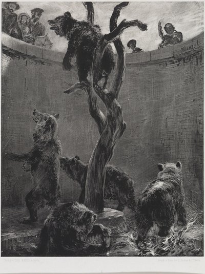 A medvekifutó az állatkertben alkotó: Adolph Menzel