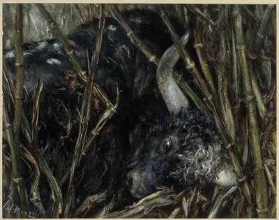 A jakbika a bambuszban. A „Gyermekalbumból“ alkotó: Adolph Menzel