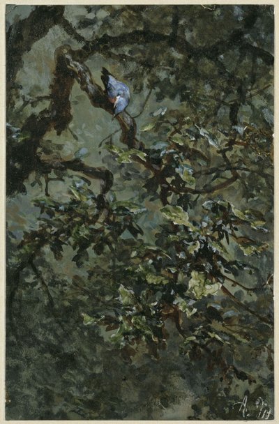A kék harkály a lombban. A „Gyermekalbumból” alkotó: Adolph Menzel