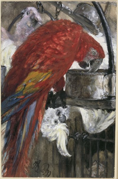 A vörös ara és a kakaduk. A „Gyermekalbumból” alkotó: Adolph Menzel