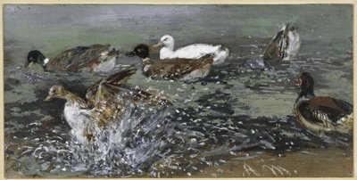 Kacsák a vízben. A „Gyermekalbumból” alkotó: Adolph Menzel