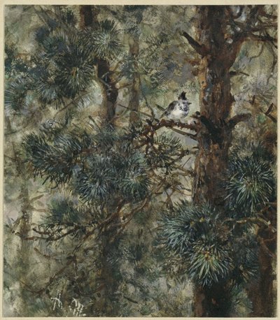 Búbos cinege fenyőágak között. A „Gyermekalbumból“ alkotó: Adolph Menzel