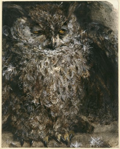A füleskuvik. A „Gyermekalbumból” alkotó: Adolph Menzel