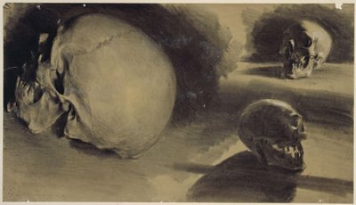 Egy koponya három nézete alkotó: Adolph Menzel